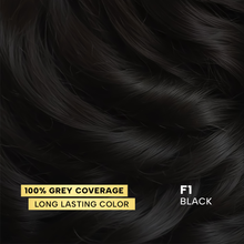 F01 Black
