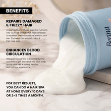 Berina Hair Treatment SPA (500 gm)